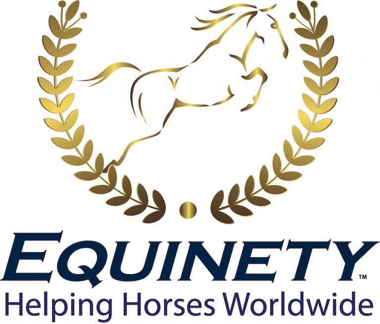 Equinety - Helping Horses Worldwide