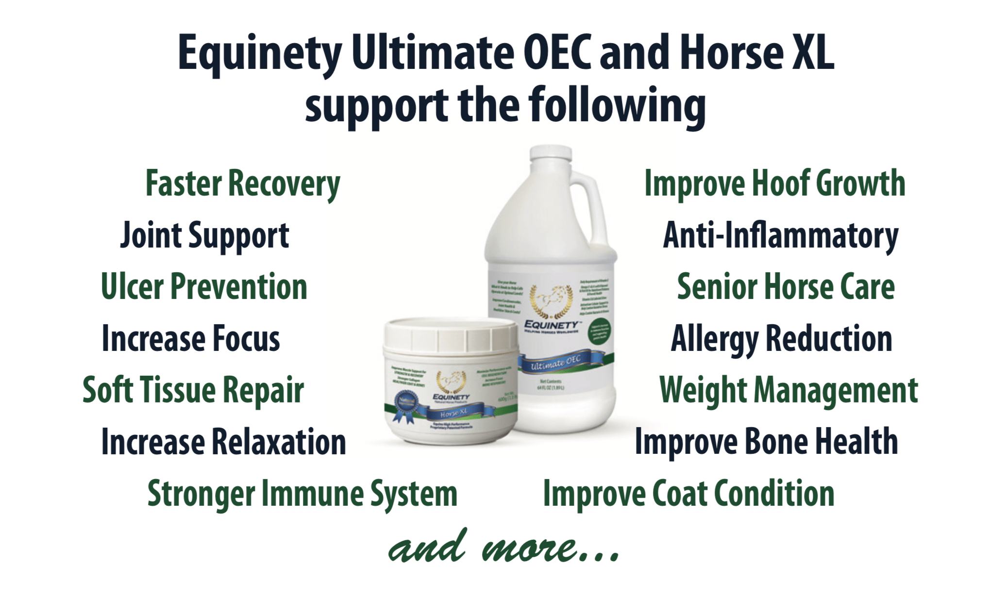 Horse Supplement Team