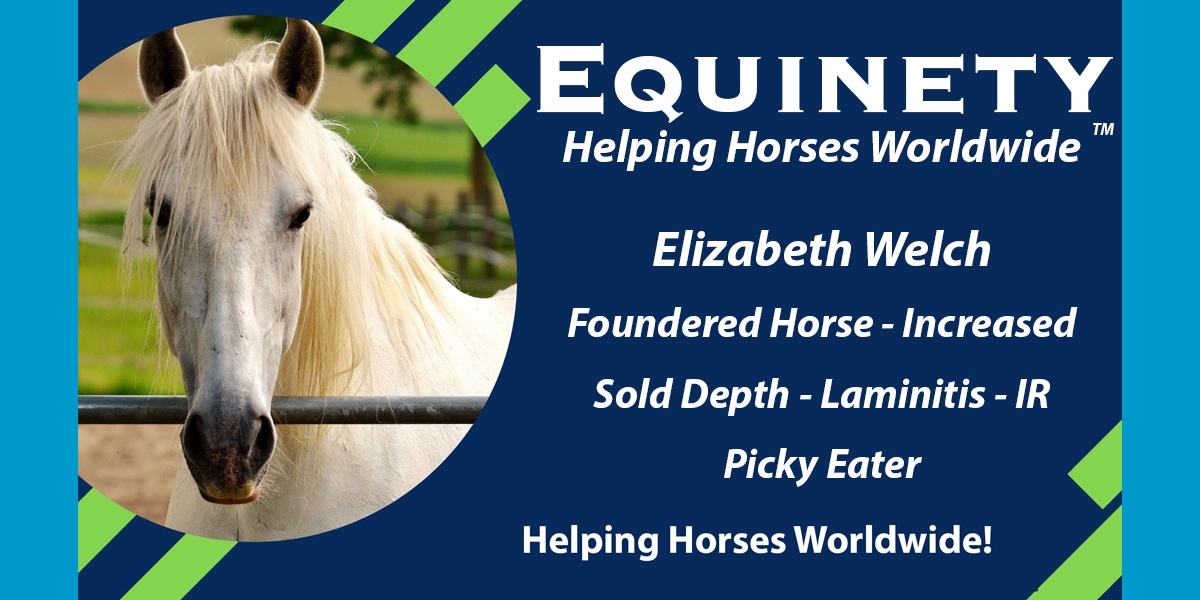 056 Elizabeth Welch Severe Foundered Horse Significant Sole Depth