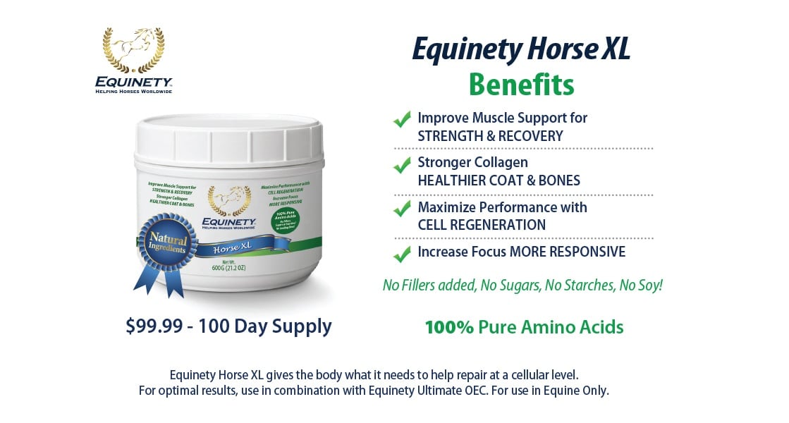 Horse Supplements