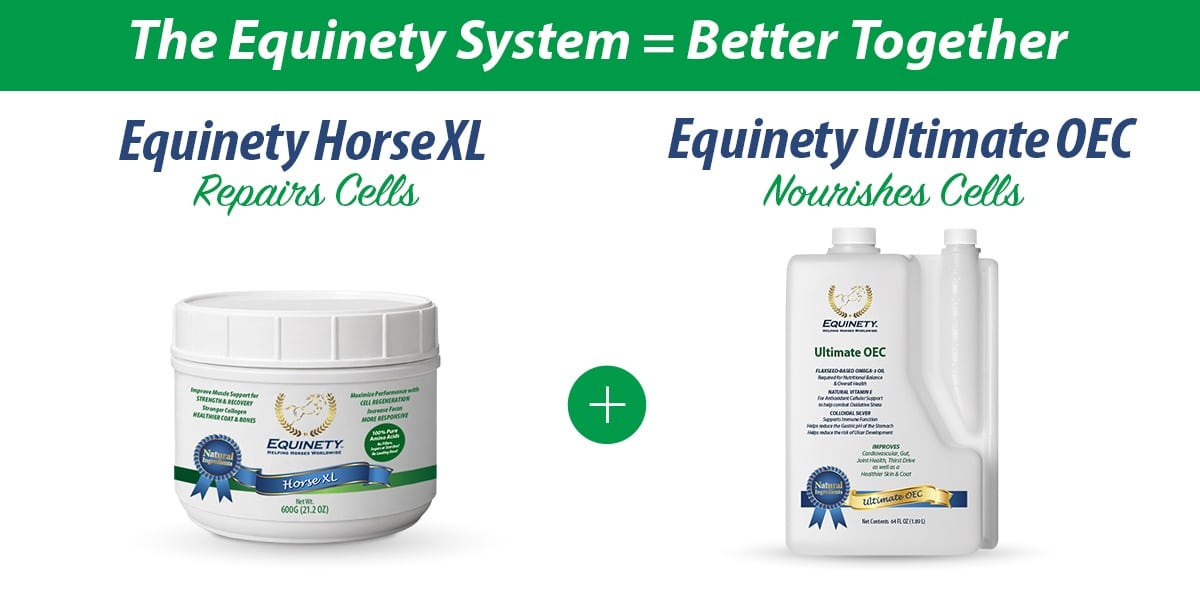 Horse Supplements