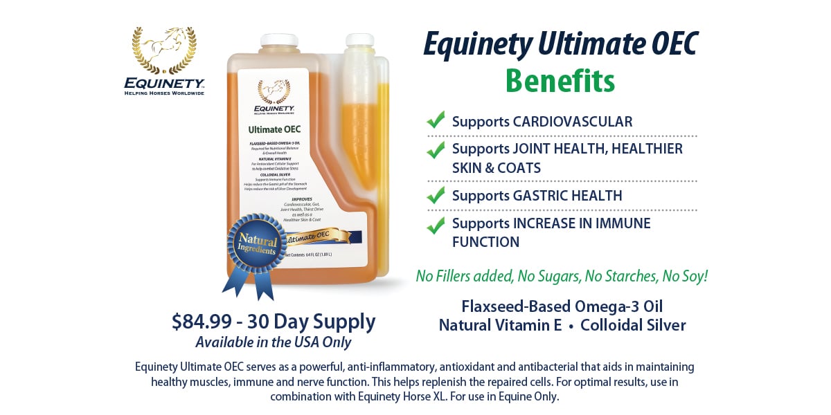 Horse Supplements Horse Supplements