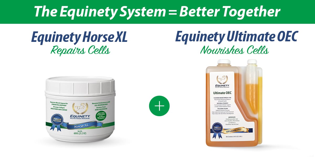 Equinety Horse Supplements