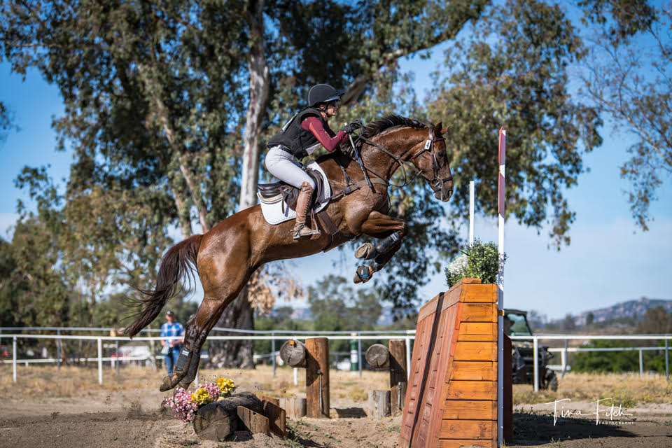 horse_supplements