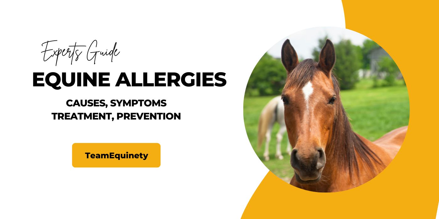 Equine Allergies: Causes, Symptoms, Treatment, and Prevention (2023) -