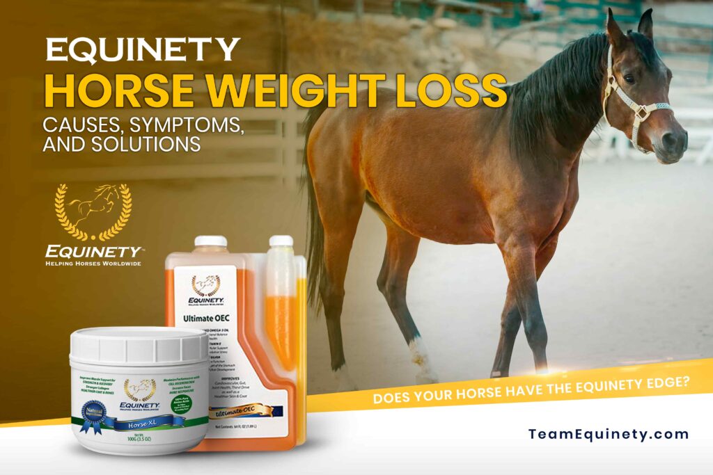 Horse Weight Loss Symptoms, Causes, and Solutions
