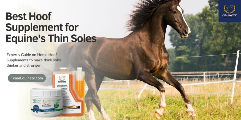 Best Hoof Supplements for Thin Soles Equine Horse