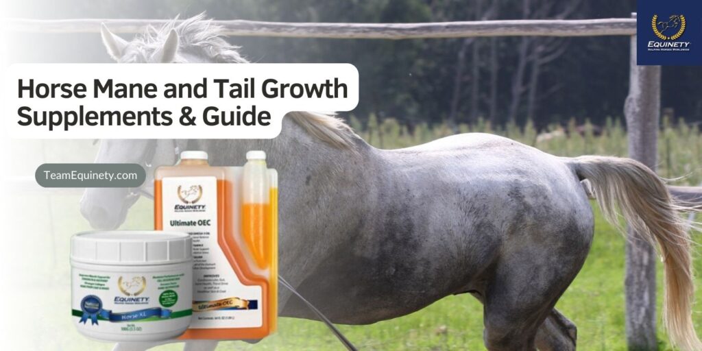 Horse mane and tail growth