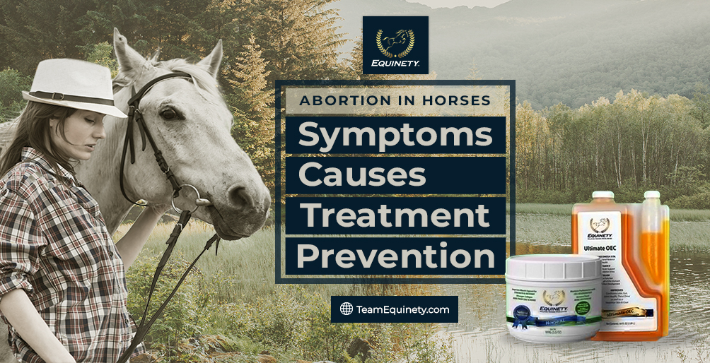 Abortion in Horses Symptoms Causes Treatment & Prevention