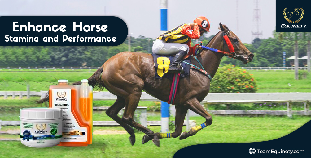 Enhance-Horse-Stamina-and-Performance